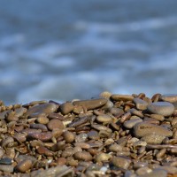 DSC_4191.JPG