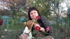 Аватара пользователя