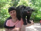 Аватара пользователя