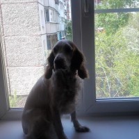 20170524_135005.jpg