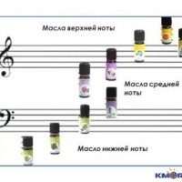 klassifikaciya_zapaxov (1).jpg