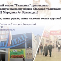 Новый клуб любителей кошек "Талисман"! баннер общий.jpg
