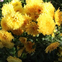 IMG_6867.JPG