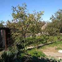 IMG_20181008_114036.jpg