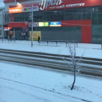 кто из Челябинска и области? 52948EFD-489E-4A55-9EA5-14F78F8DA716.jpg