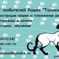 Новый клуб любителей кошек "Талисман"! реклама для Зоомир.jpg