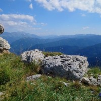 IMG_2303.JPG