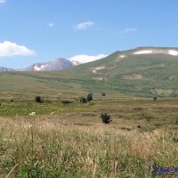 IMG_2305.JPG