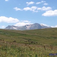 IMG_2307.JPG