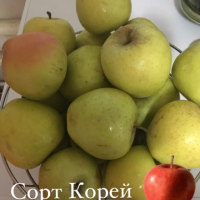 Лучшие продукты Кубани 541579EA-4145-4CDA-A0EC-9E715EDEA10D.png