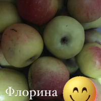 Лучшие продукты Кубани F31E3C2D-F04F-4E3B-9B33-EBA314F6B29E.png