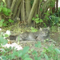 DSCN1467.JPG