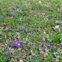 DSC_0014.JPG