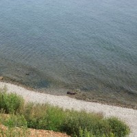 image3.jpg