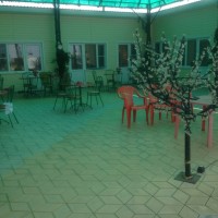 IMG_0718.jpg