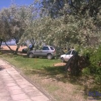 WP_20160709_007.jpg